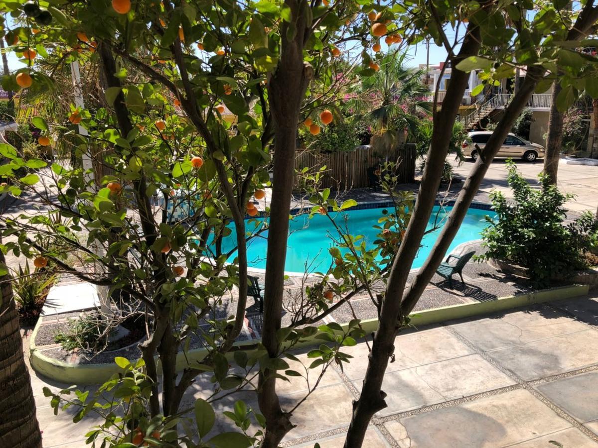 Hotel Calafia ลาปาซ ภายนอก รูปภาพ
